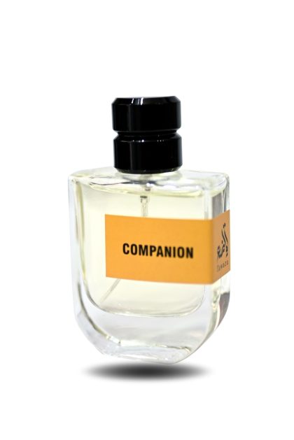 Companion | Inspired by Versace Eros - 50ml